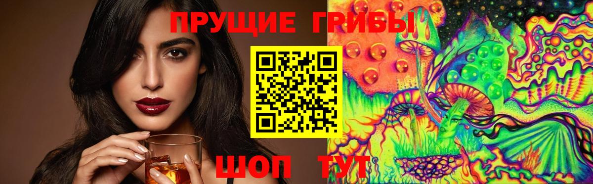Псилоцибиновые грибы Cubensis Заводоуковск