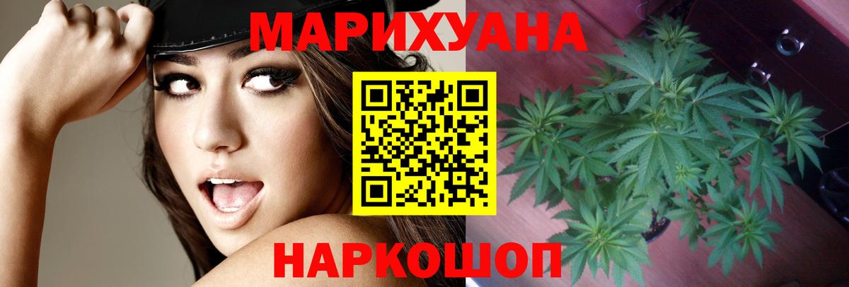 Заводоуковск  Шишки марихуана сатива  Вход с VPN  Шишки марихуана тримм  Конопля семена 